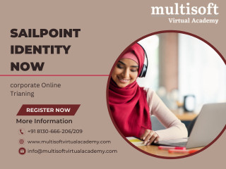 Sailpoint Identity Now Corporate Online Training