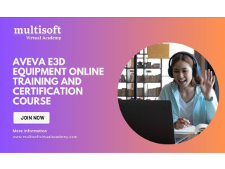 AVEVA E3D Equipment Online Training and Certification Course
